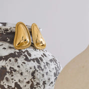 Brinco Shine Maraviga