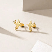 Brincos Estrela Cadente